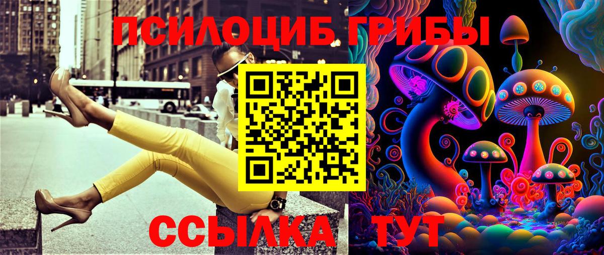 Псилоцибиновые грибы Cubensis  Вход с VPN  Армавир 